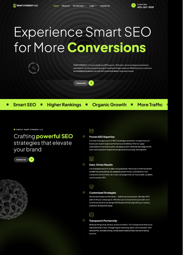 Snap Synergy website designed and maintained by Webzo – Web Development Services