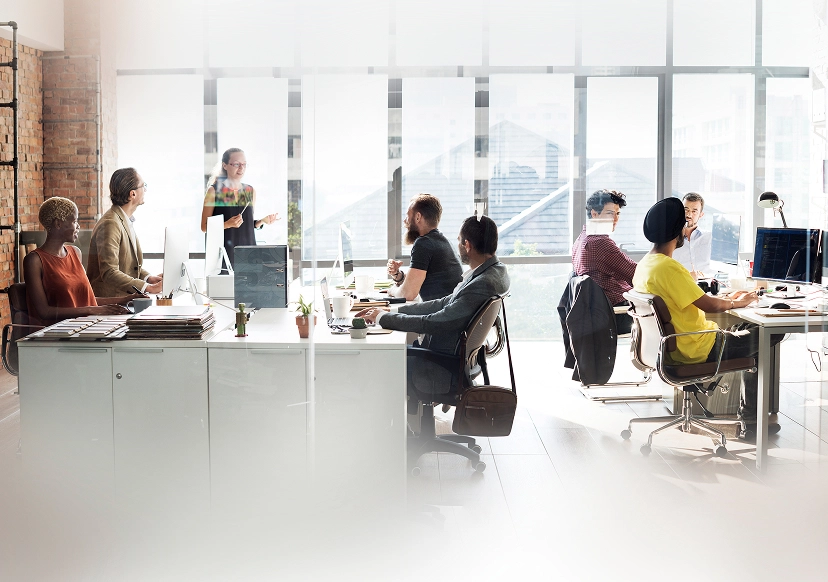 Website Development & SEO Company team collaborating to deliver digital solutions
